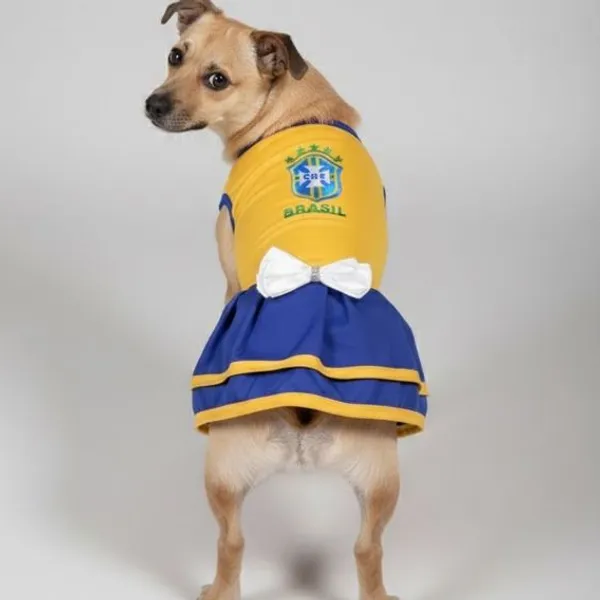 Vestido Pet Brasil Roupinha Da Copa 2026 Para Cachorro Roupinha Do Brasil Para Cachorro