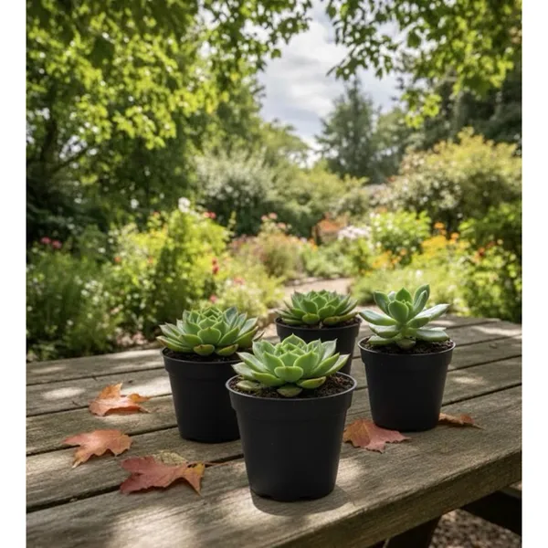 Kit Com 30Vasos de Parede para Jardim flor e flores Vertical Marrom - 150ML grande pequeno