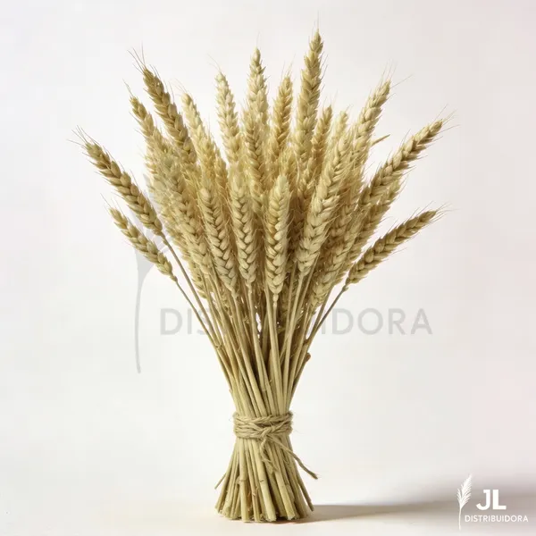 20 Hastes de Trigo Seco Decoração Farmhouse Enfeites para Sala Elegante Arranjo Artesanato Buquê