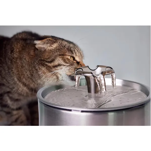 Bebedouro Automático Fonte  De Água Corrente Prático 2,5L Cães E Gatos e Filtro