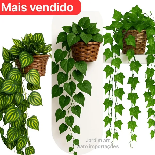 ARRANJO C/ 3 TREPADEIRA FOLHA DE HERA + VASO TRANÇADO MARROM