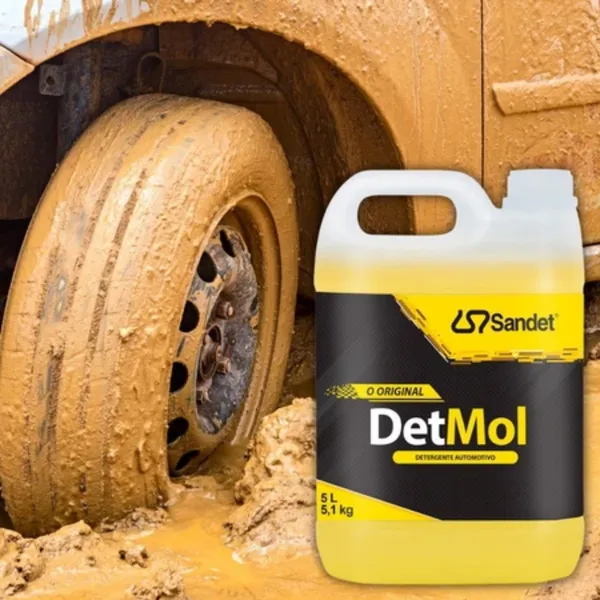 Shampoo Automotivo Detmol Lava Auto