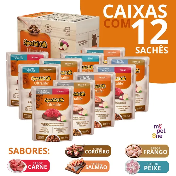 Caixa 12 Sachês Premium Special Cat